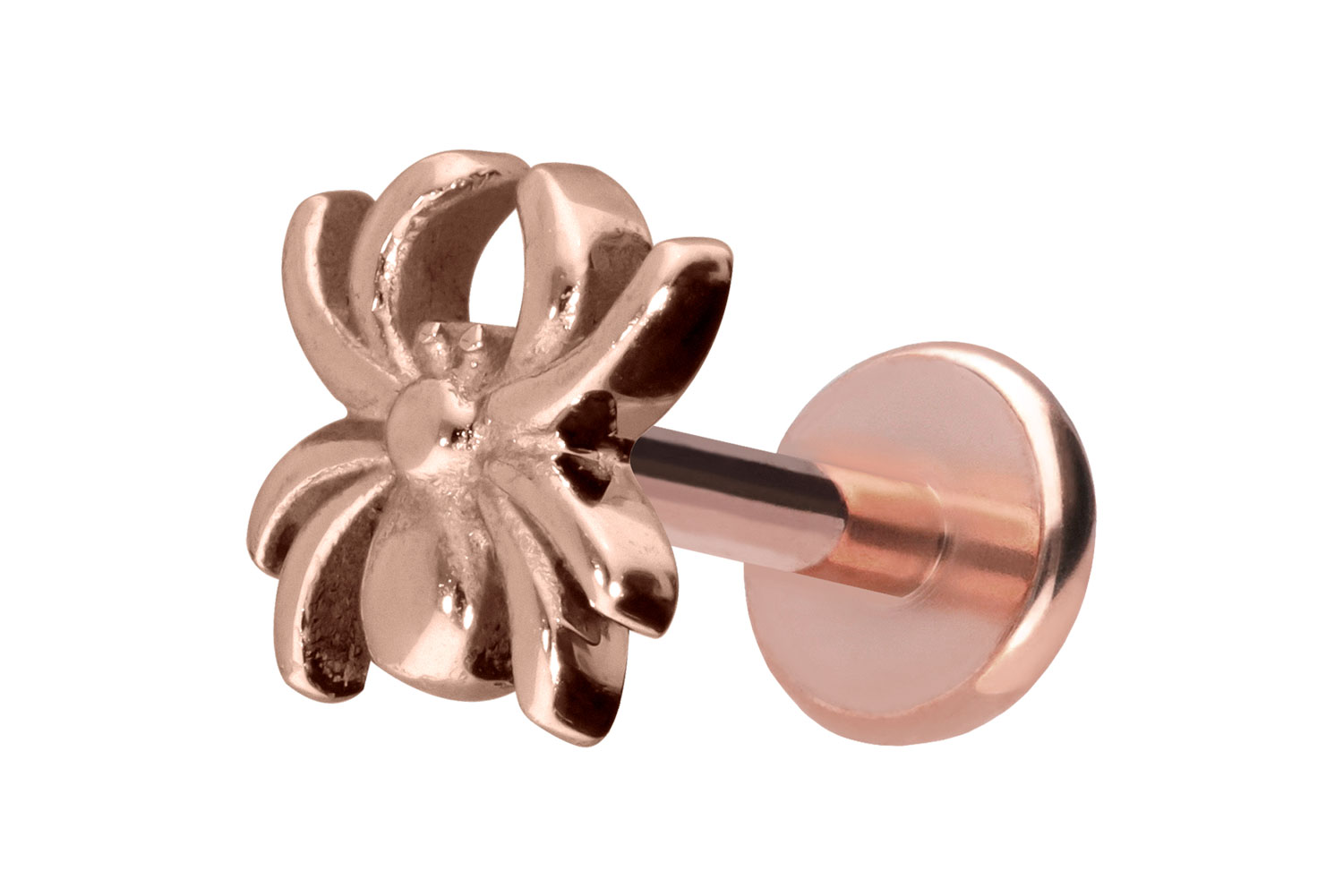 Titan Labret Piercing mit Push Fit SPINNE